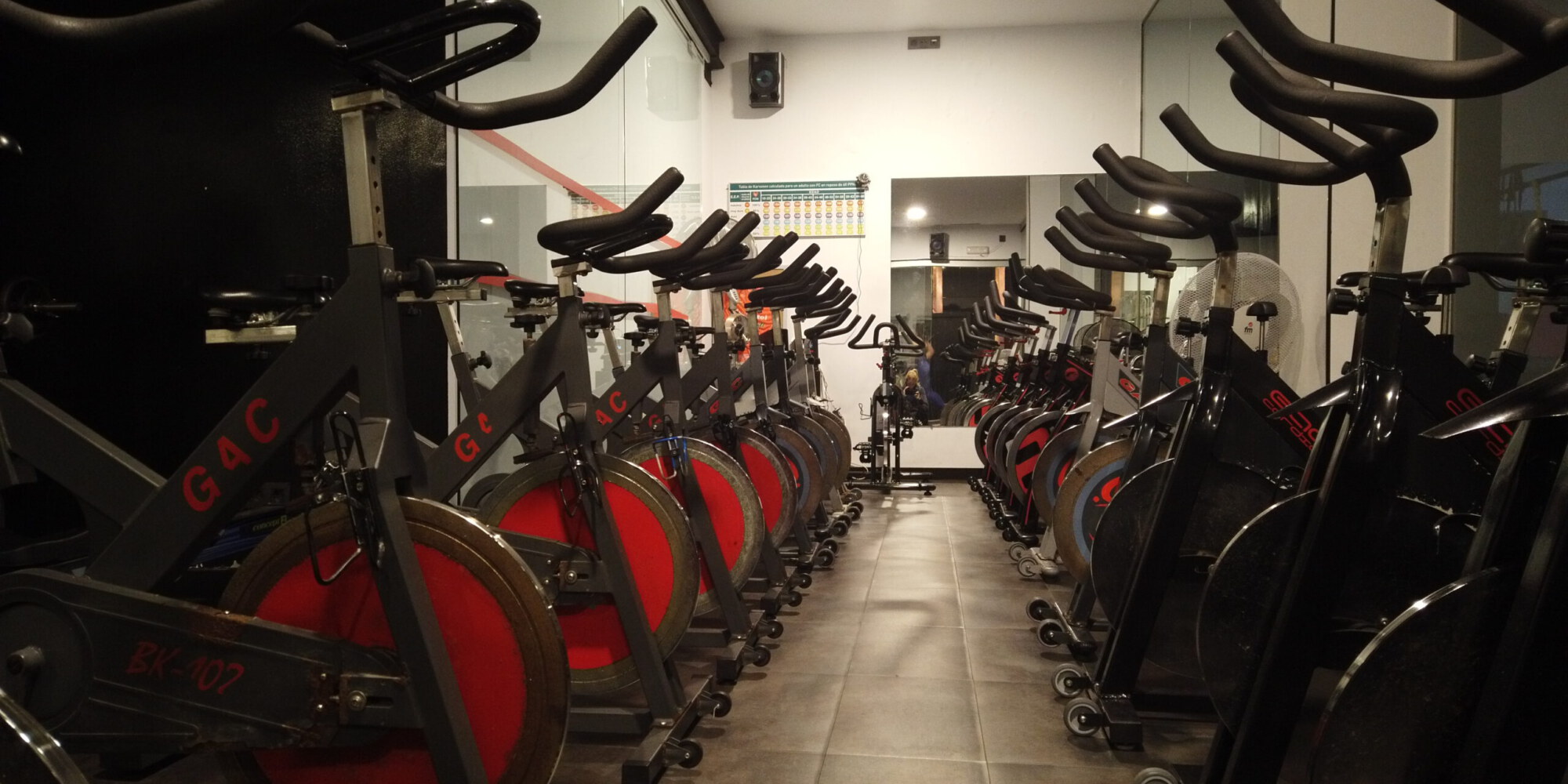 Bici (2)