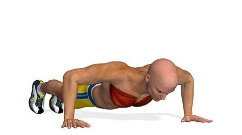 Flexion pectoral
